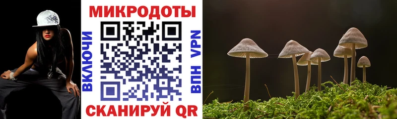 hydra ссылка  Лесной  Галлюциногенные грибы Psilocybine cubensis  где купить  